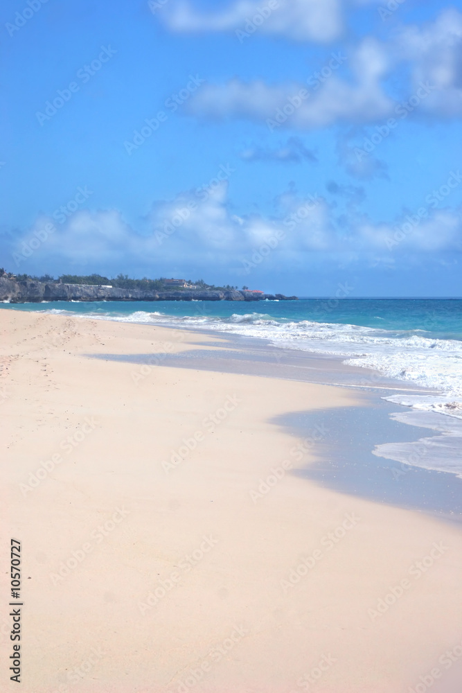 Fototapeta premium Barbados Beach