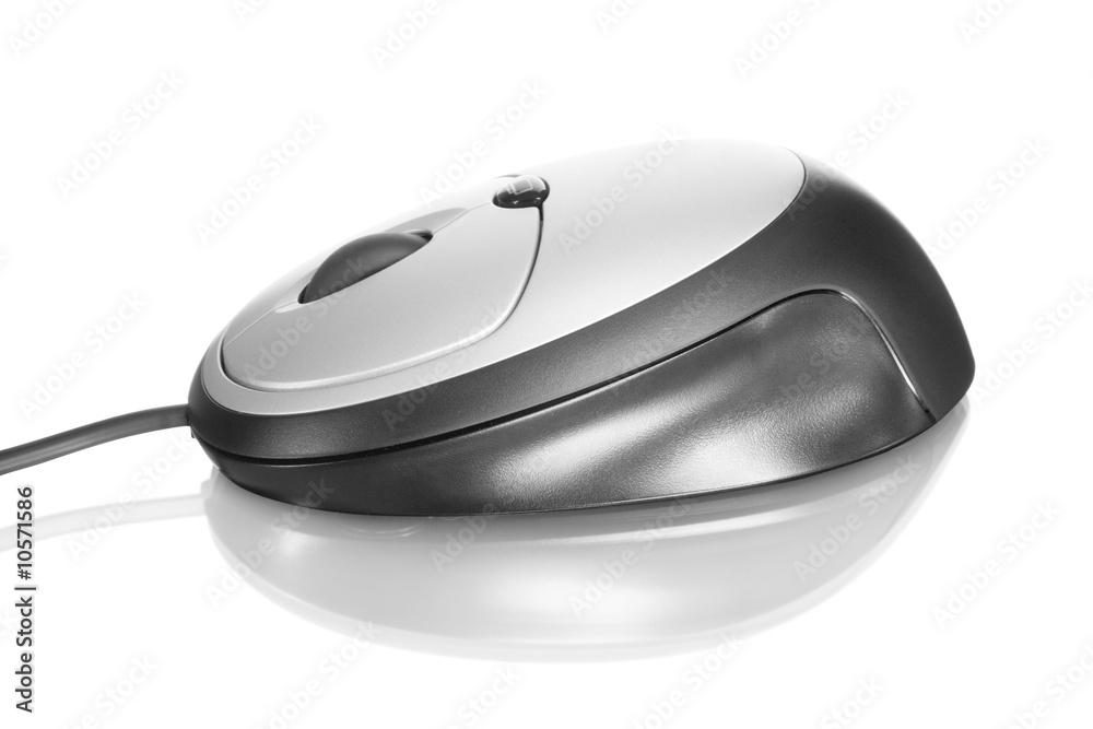computer mouse computer mouse