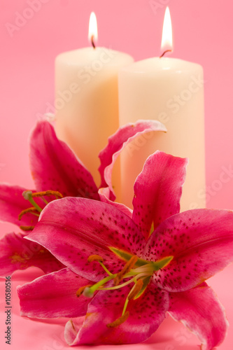 Lily and candles on a pink background photo