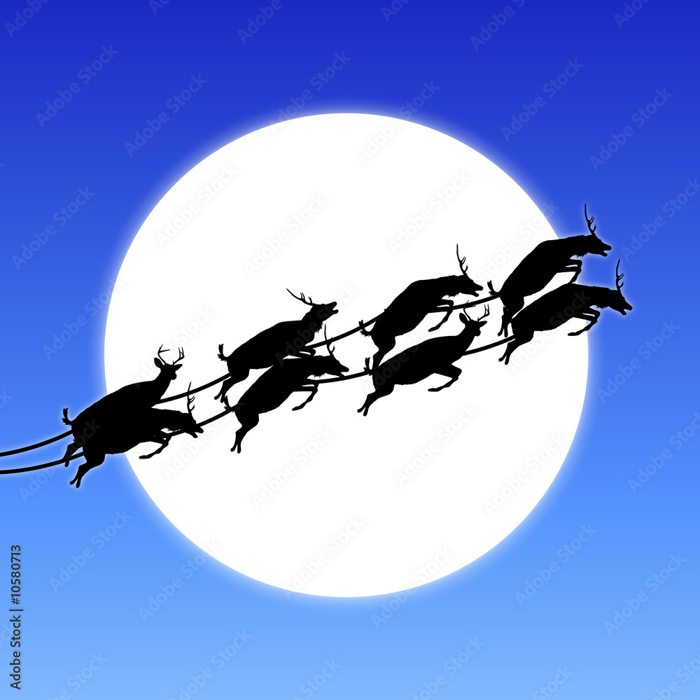 Flying Reindeer