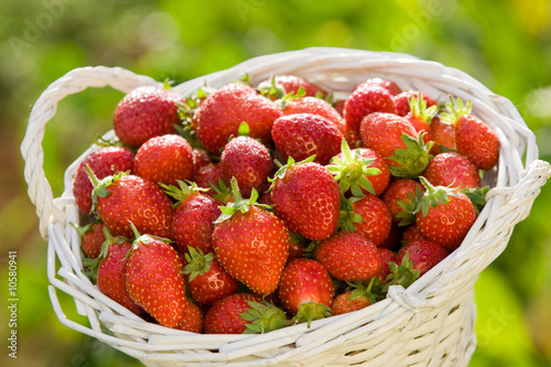 Panier de fraises