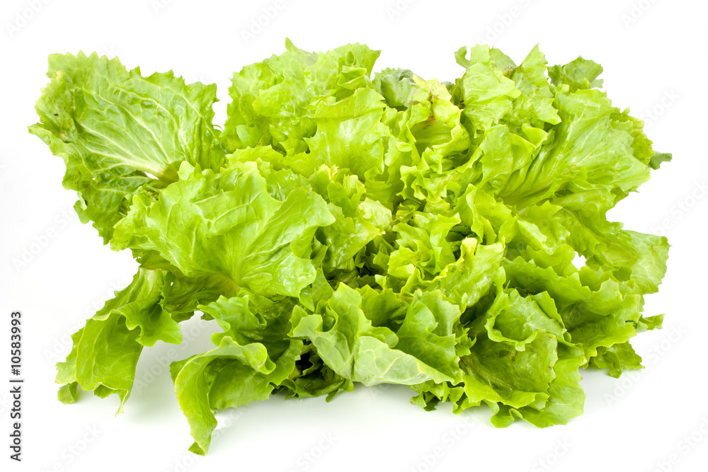 green lettuce isolated on a white background