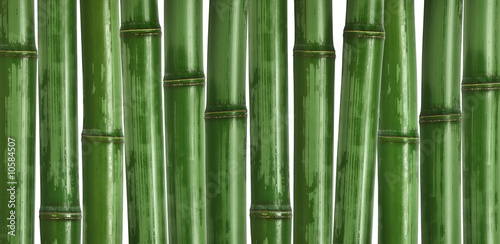 hard bamboo background