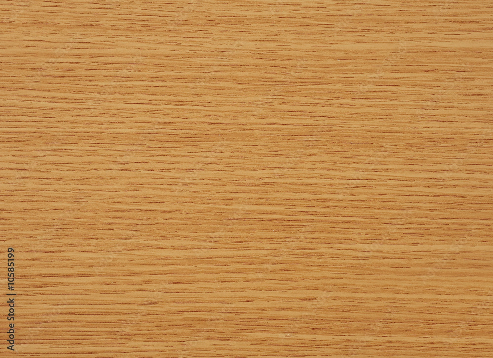 Detail of oak tree wood Detail of oak tree wood