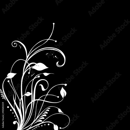 FLORAL BLANC FOND NOIR