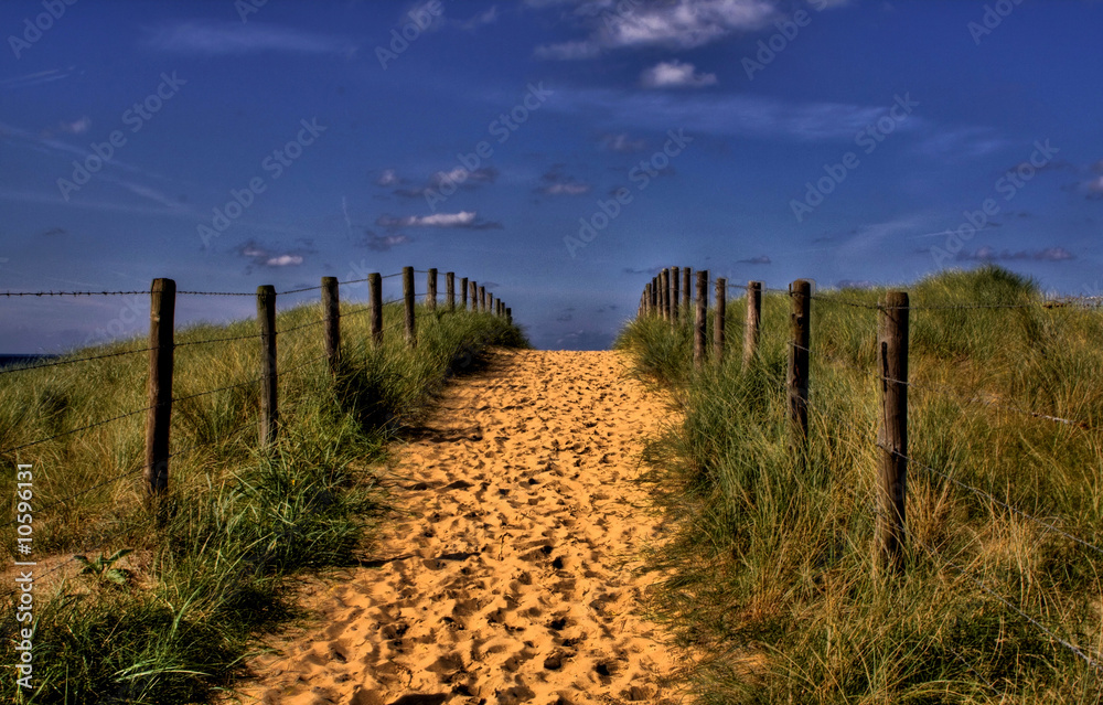 sandy road toward beach
