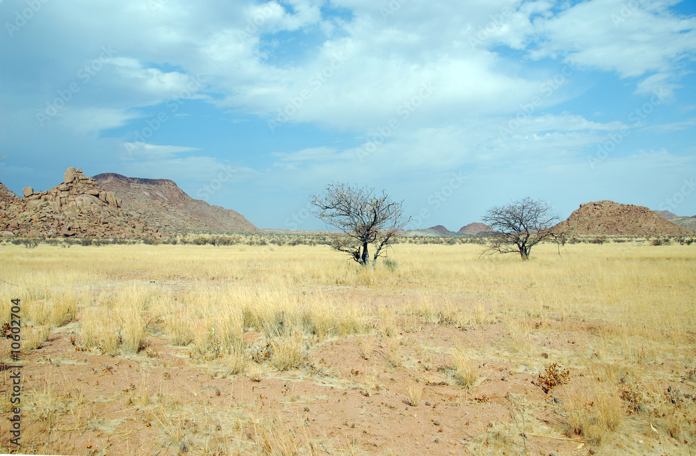 Namibia - savana