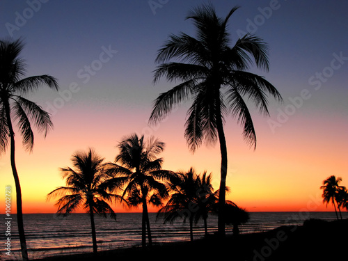 tropical sunset