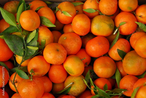 a harvest is a mandarine