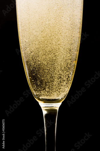 Photography Flute with sparkling champagne against black background.