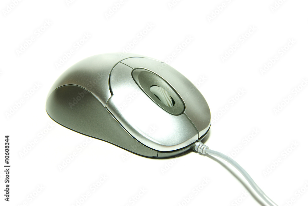 computer mouse