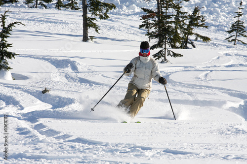 Alpine woman skier
