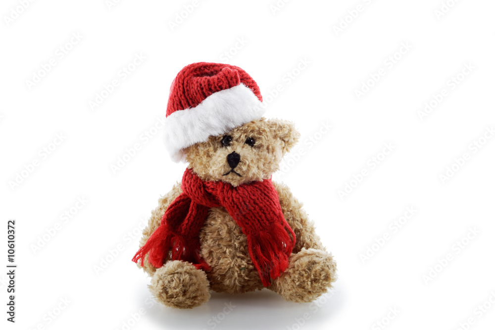 bear bear