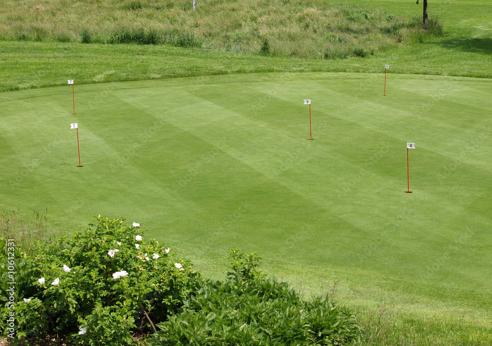 Fototapeta premium Putting Green