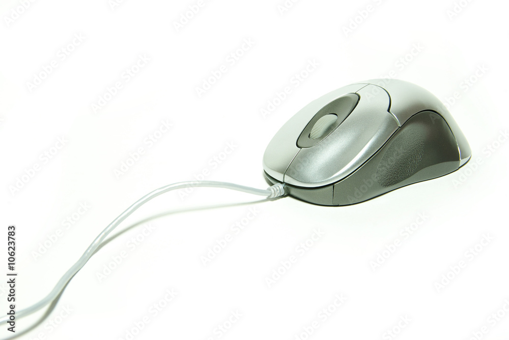 computer mouse