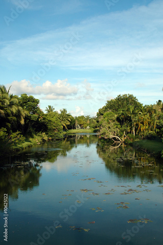 Scenic Residential Canal in Miami