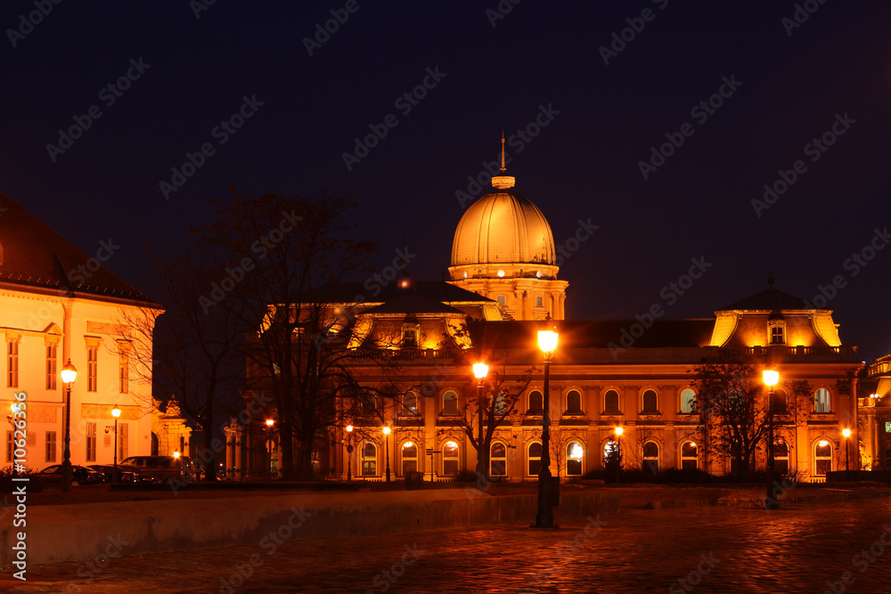 Obraz premium Hungarian castle in Budapest