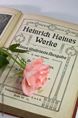 Heinrich heines werke