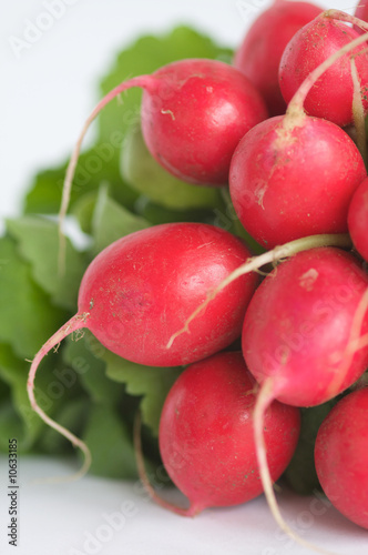 Fresh Radish