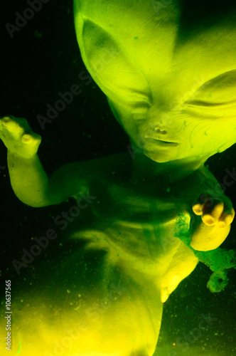 Fotografia Alien fetus suspended in fluid