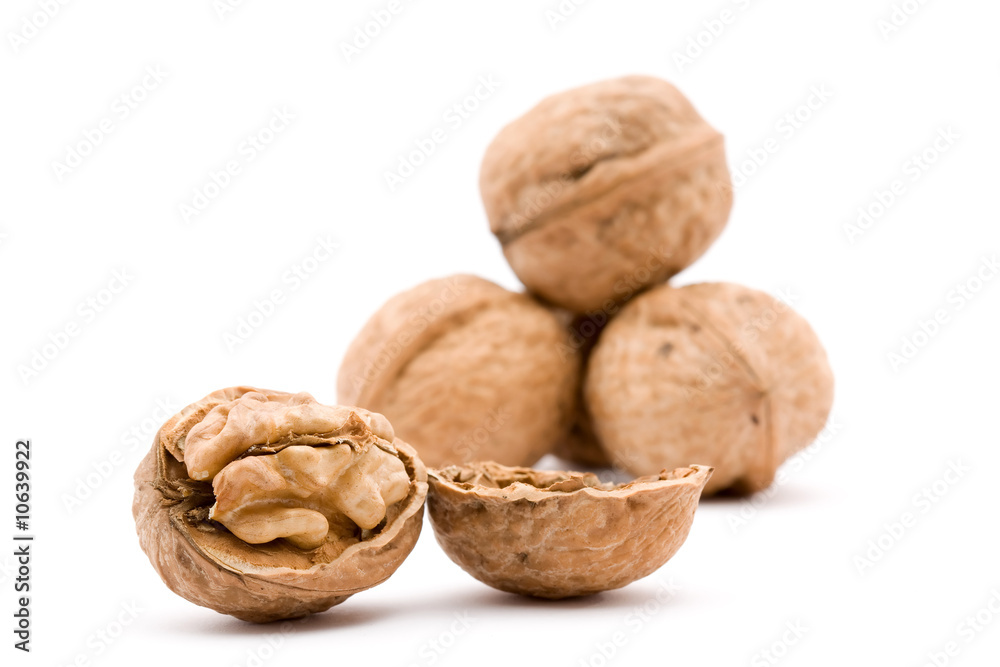 walnut walnut
