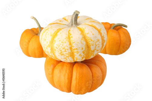 Little miniture pumkins
