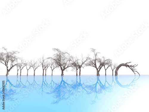 trees reflected on blue ice