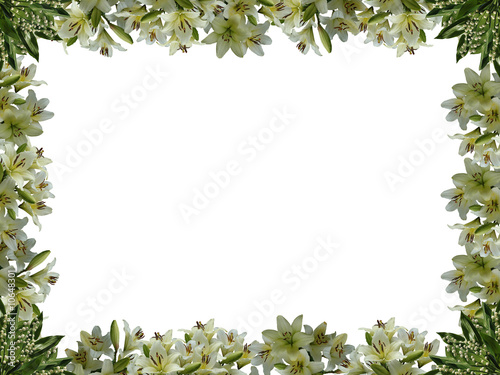 Framework from natural flowers