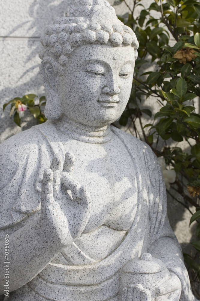 Obraz premium Buddha