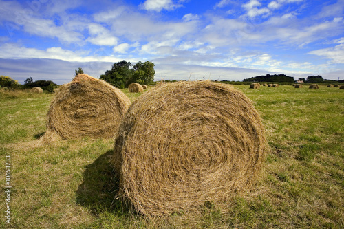 Fototapeta bretagne,belle-île :  meules de foin