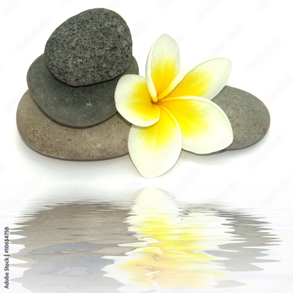 Fototapeta premium reflet de fleur de frangipanier et de galets sombres