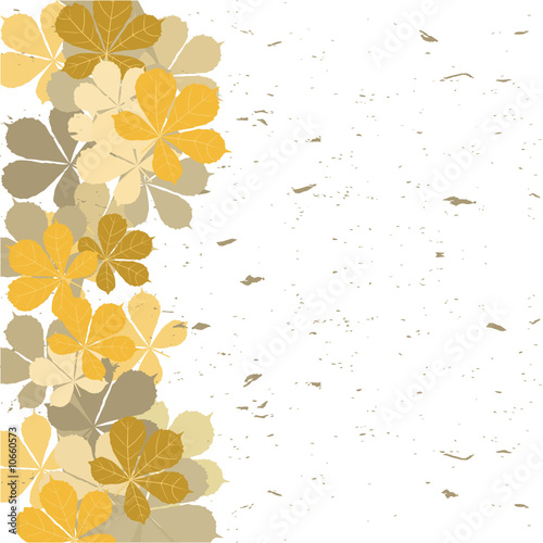 Background from leaves. Vector.