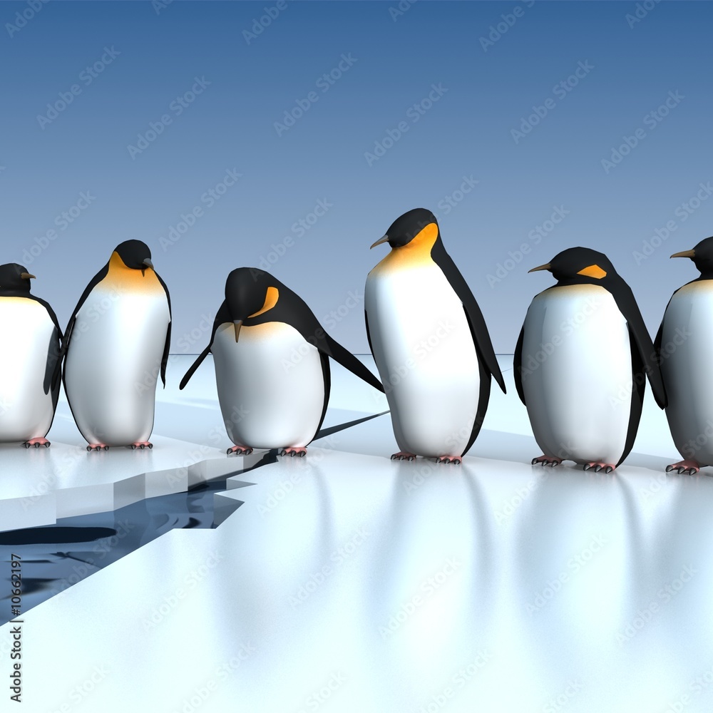Fototapeta premium penguins