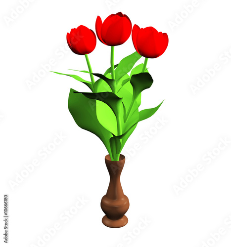 red flowers in vase on white