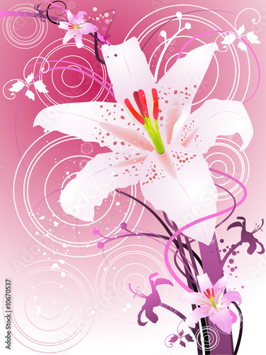 Oriental Lily