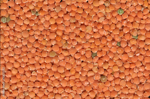 red lentils background © MarekPhotoDesign.com