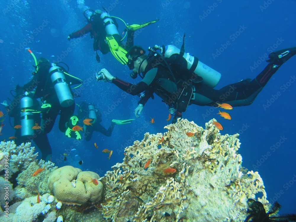 Divers on the reef