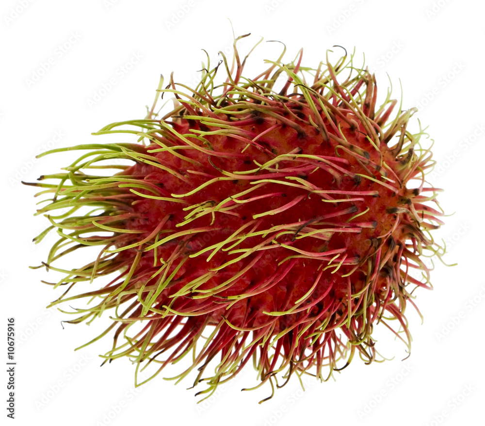 Fototapeta premium Rambutan, exotische Frucht