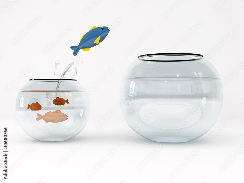 acquario acquario