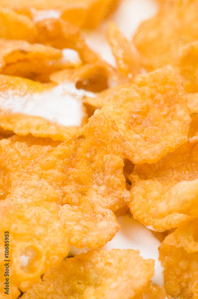 macro image of cereal with milk macro image of cereal with milk
