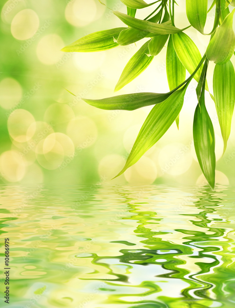 Naklejka premium Bamboo leaves reflected in rendered water