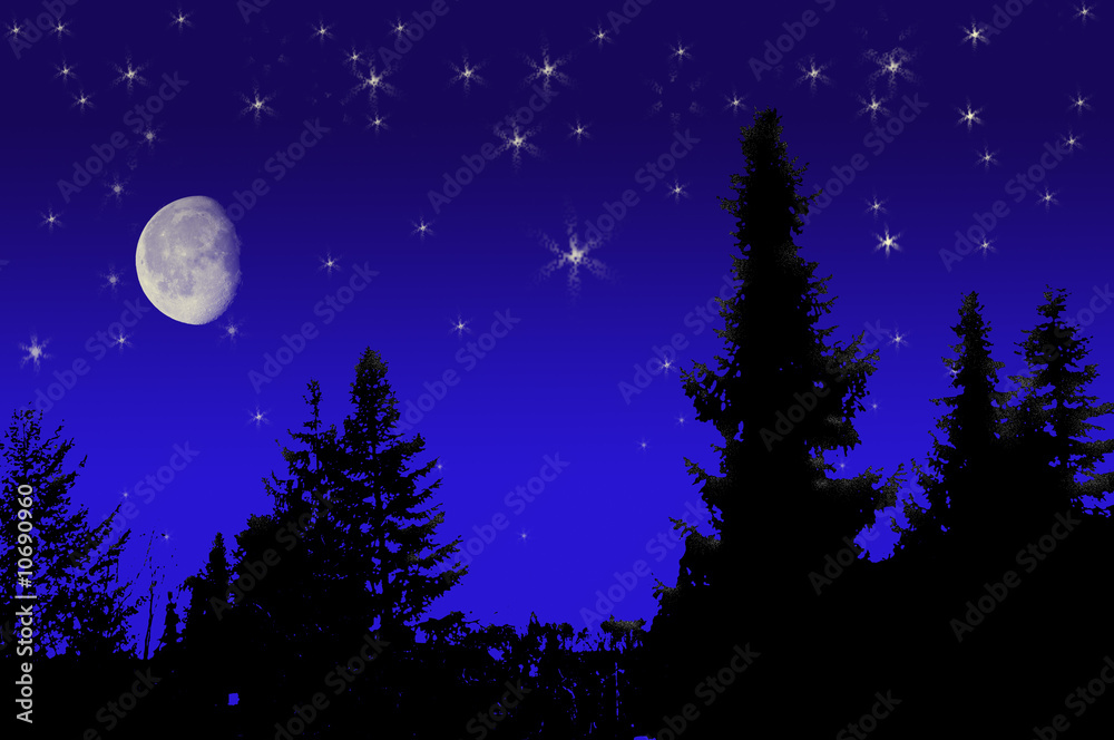 Naklejka premium Winterhimmel