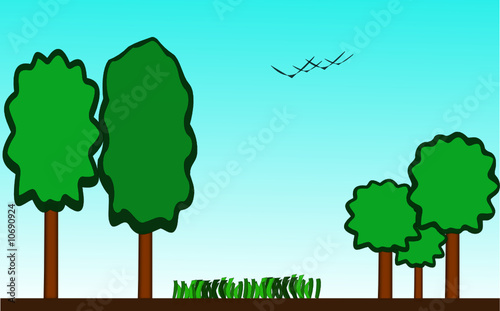 Nature