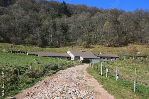 Ferme auberge du Strohberg dans les Vosges (Alsace, Haut-Rhin) photo