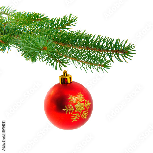 Christmas ball on fir pine branch
