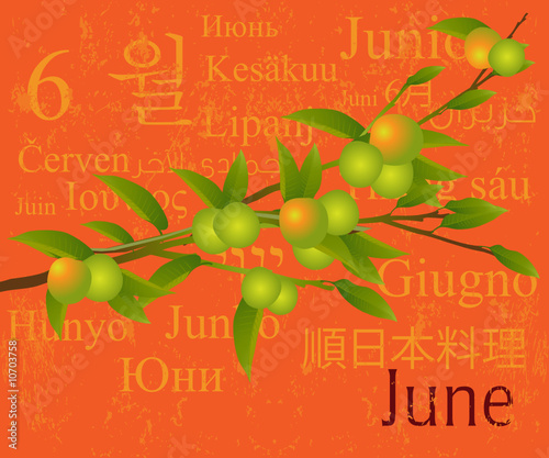 Months Concept June