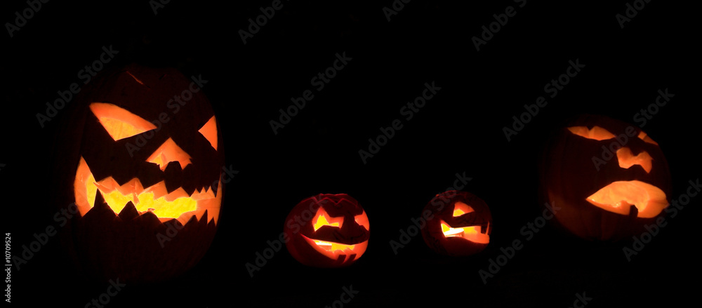 pumpkin pumpkin