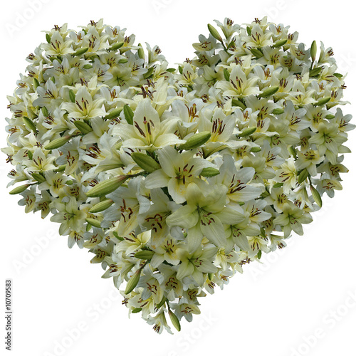Gentle heart from petals of a white lily