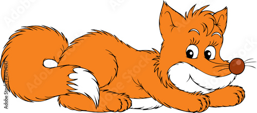 Fox