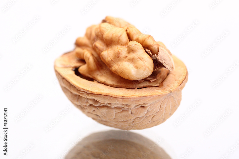 walnut